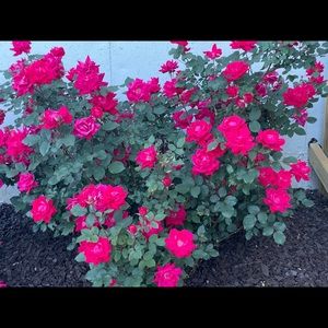 Meet your Posher, Melinda